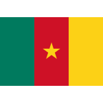 Flag - Cameroon - (3x5')