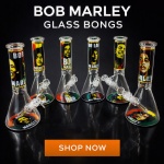 Bong 10" Serie Bob Marley  (GB10-006)